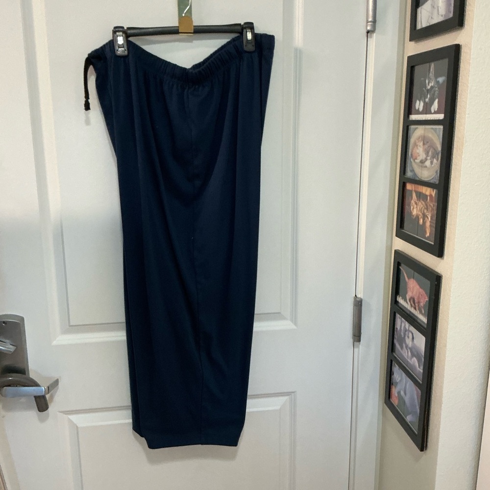 3X dark navy pants